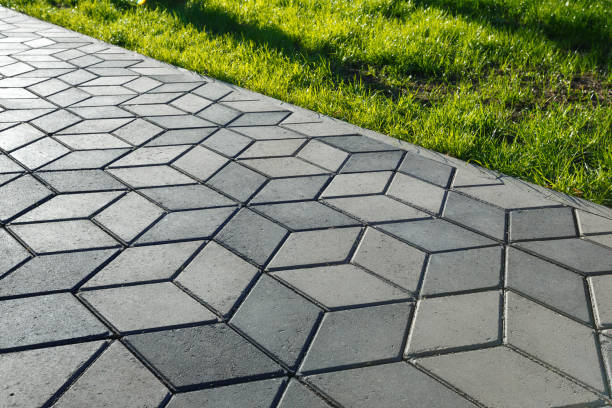 Best Driveway Paving Contractor  in Camden, TN